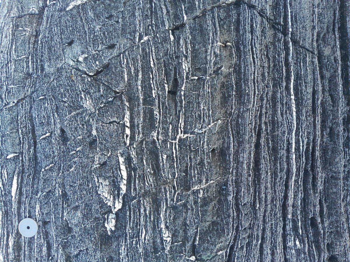 Sascha Zertani tweet media