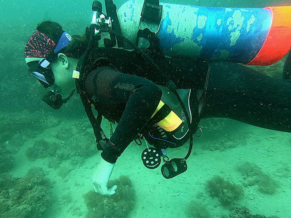 NarcosisScubaCe's tweet image. #letsgodiving @NarcosisScubaCe #greatcrew #gulfcharters #scubadiving #getoutandplay #booknow Narcosisscuba.com