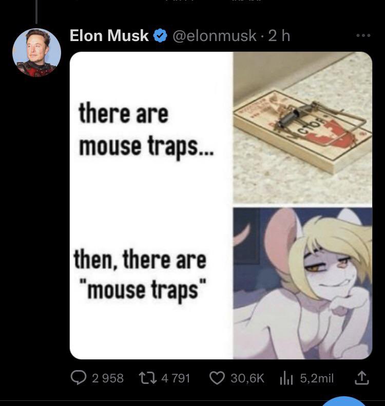 thinking abt how elon musk posted this while having a trans daughter 🤢