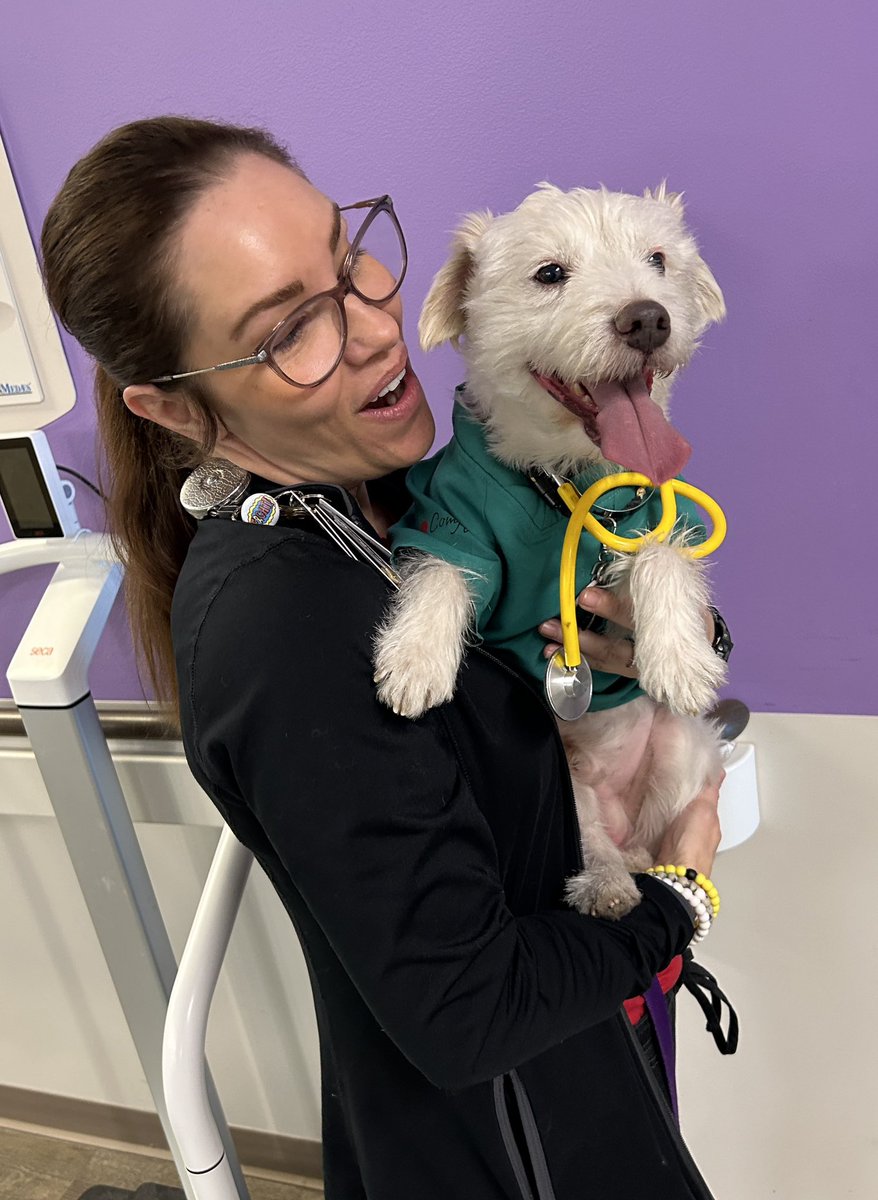 Happy “National Nurses Week”Nurse Ginny! ~ Deke🐾 #TherapyDog #IAmATherapyDog #PawYouNeedIsLove #NursesMakeTheDifference #NationalNursesWeek