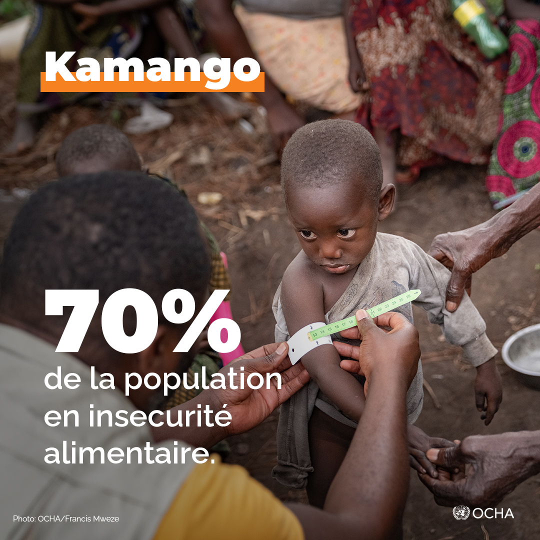 Plus de 135 000 personnes sont retournées à Kamango depuis août 2023 ! Malgré un contexte sécuritaire encore fragile, les populations sont résilientes. Un soutien au relèvement et à la protection est crucial pour les aider à reconstruire leur vie. ↪️reliefweb.int/report/democra…
