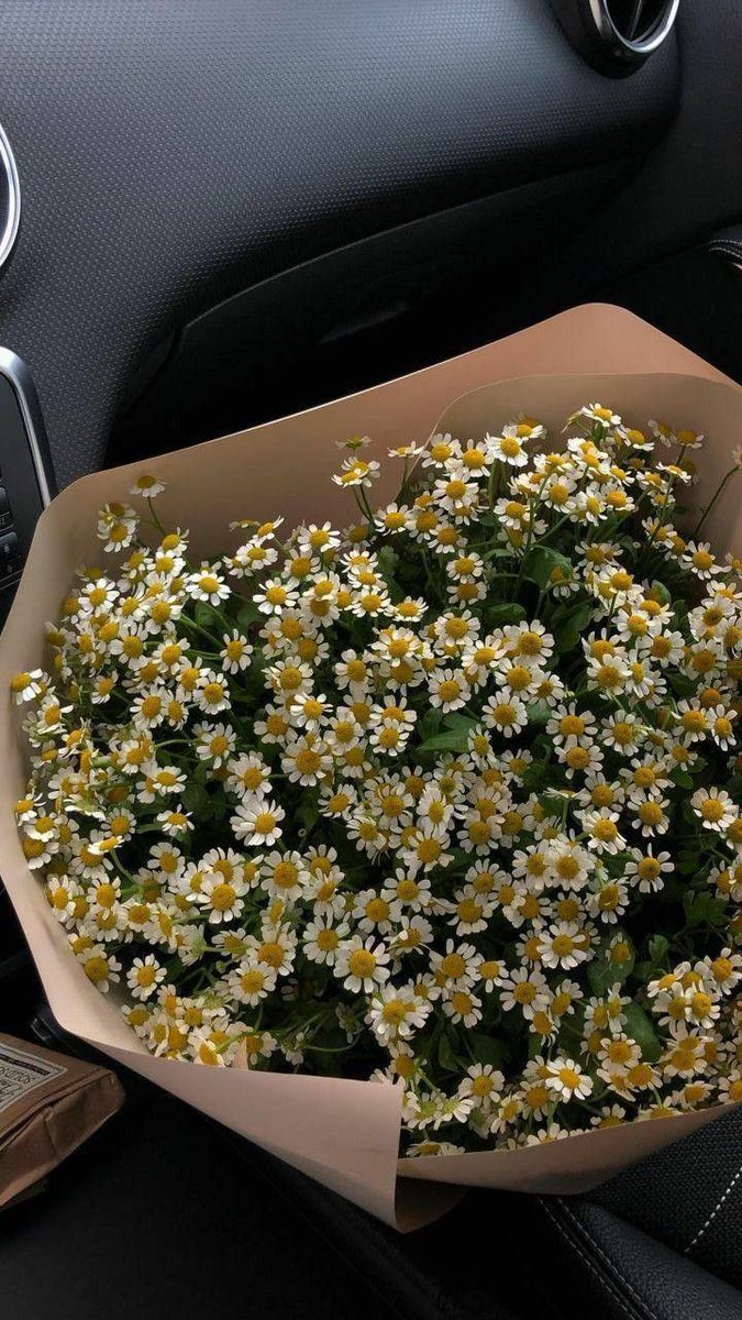 c_sureya's tweet image. Bak papatya mevsimi geldi. 
Mevsimlerden papatyayı severim. 
Sonra seni. 
Sonra yine seni. 
Ve hep seni..

Cemal Süreya