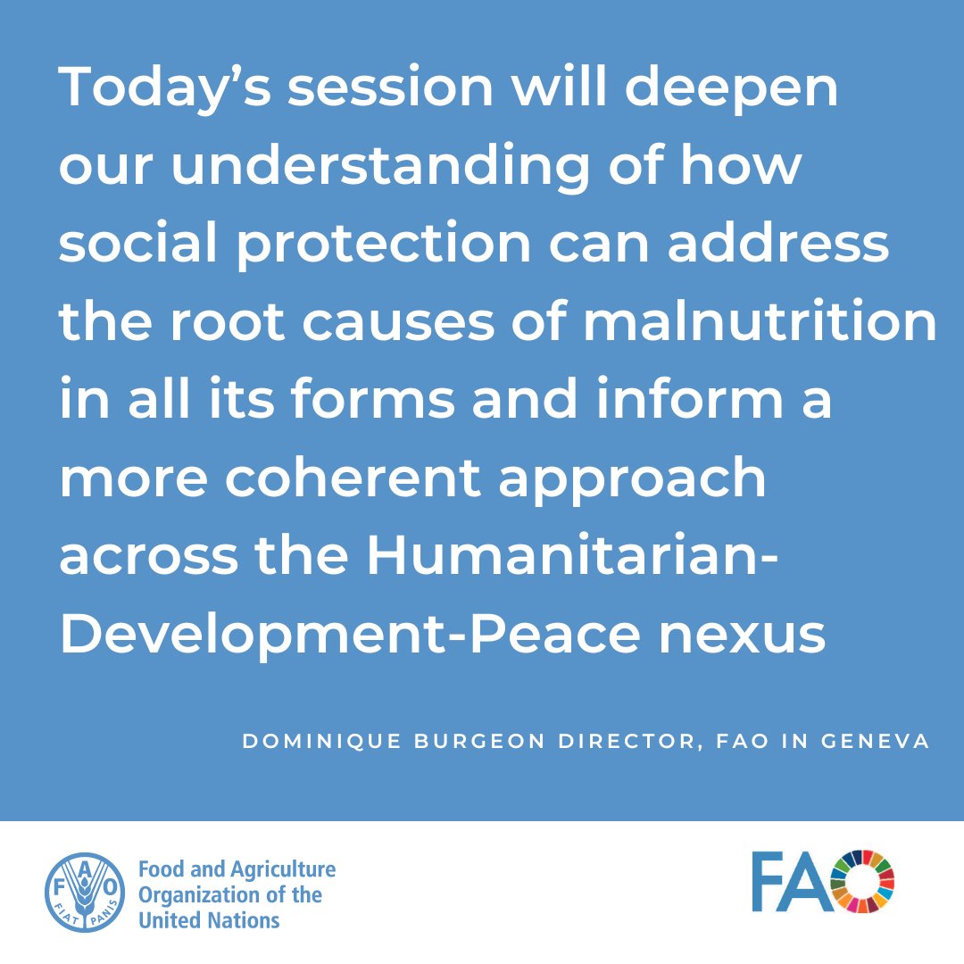 .@FAOGeneva Director @dburgeon opened the floor by emphasizing the importance of

➡️understanding how #socialprotection can address the root causes of malnutrition
➡️strengthening national #socialprotection systems to accelerate progress on poverty&foster resilient livelihoods