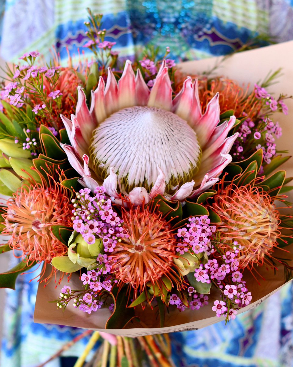 Because beautiful flowers make us feel fabulous! 🍃💥🌷😊🌸💥🌿 #wellnesswednesday #inspiredbynature #flowersfeedthesoul #protea #moodboosters #cagrown