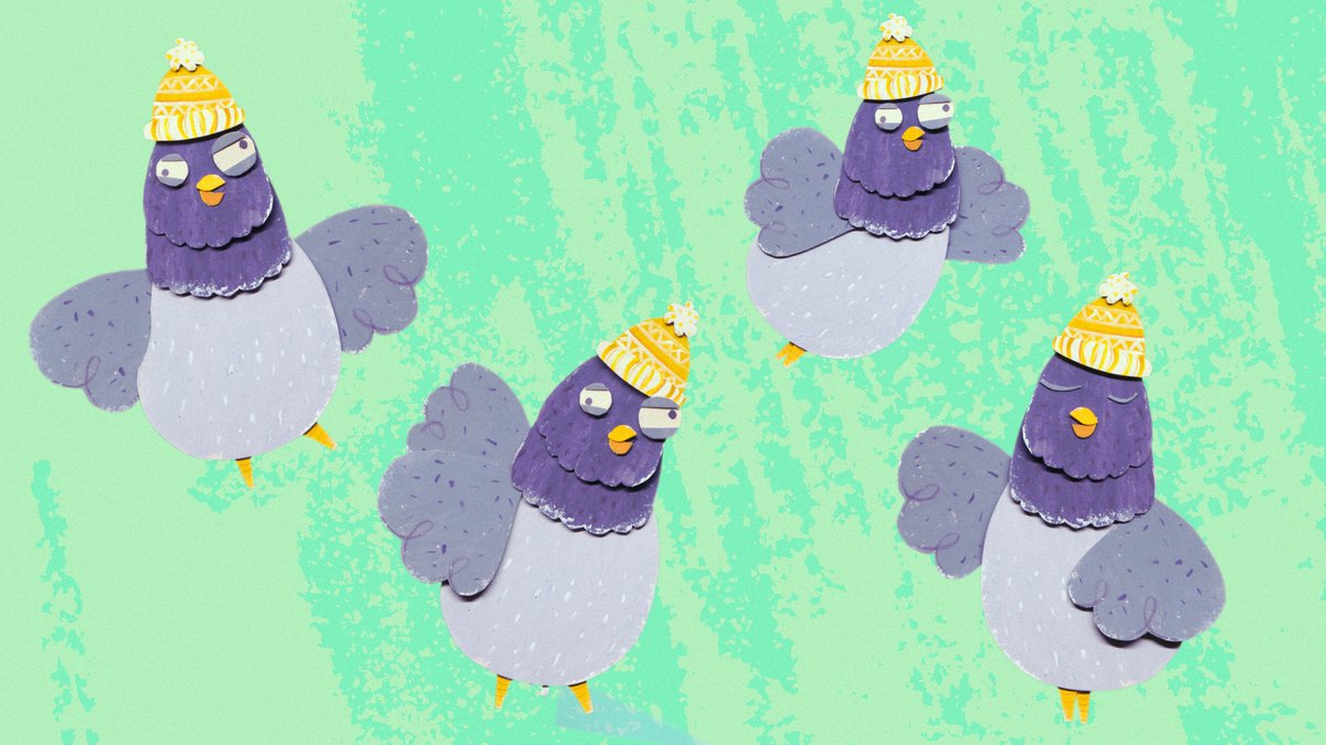 Some of the processes behind the pigeon character we made for the animated music video 'Dinosaurio Querido' (Dear Dinosaur)

#animation #stopmotion #bakcstage #characterdesign #wipart #videoproduction #musicvideo #childrensmusic #动画片 #생기 #ストップモーション #アニム