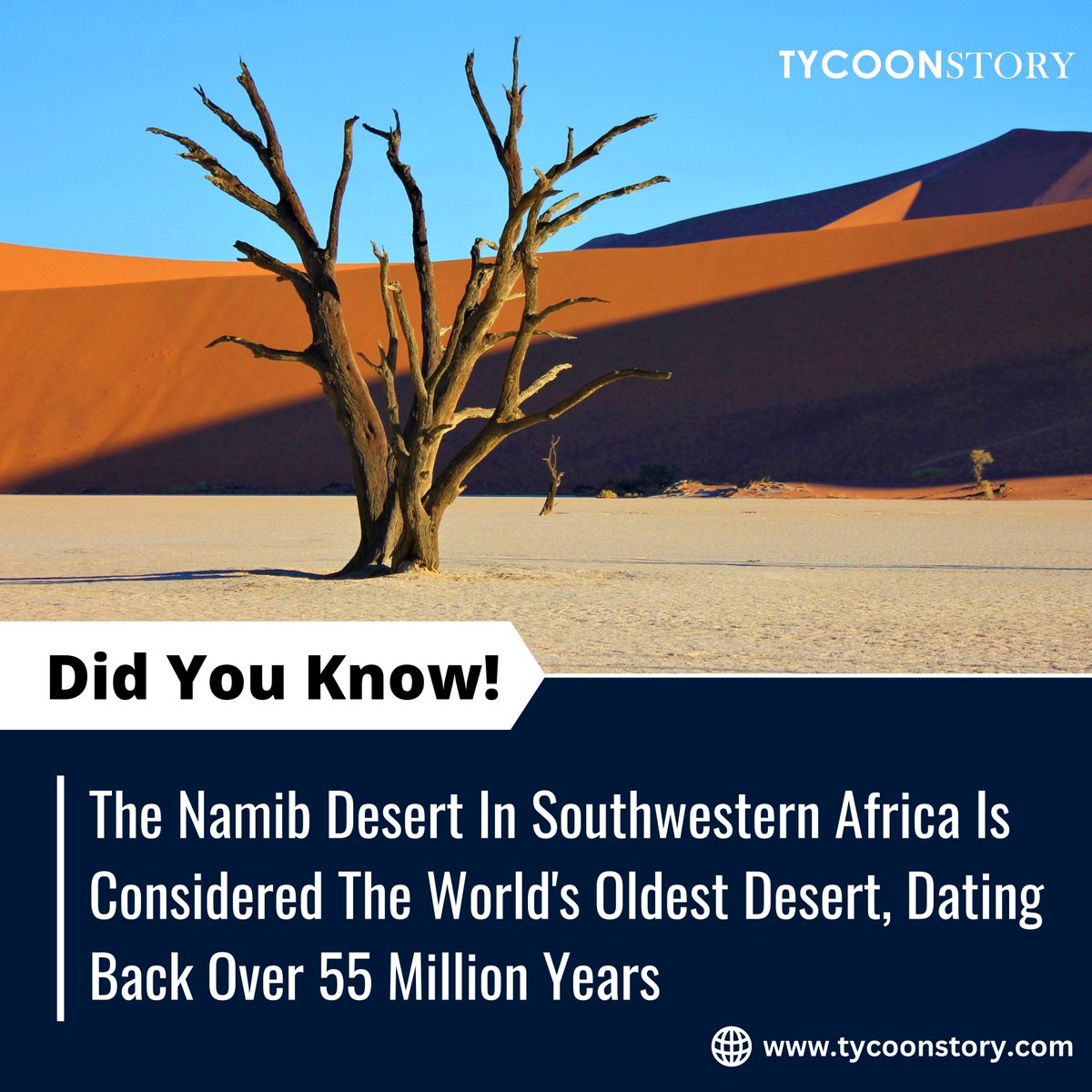 Namib Desert: Uncover a world beyond imagination.
#NamibDesert #Namibia #Angola #desert #oldestdesert #sanddunes #foggydesert #wildlife #adventure #travel #DidYouKnow #unique #featured #dunes #world #sand @TycoonStoryCo @tycoonstory2020