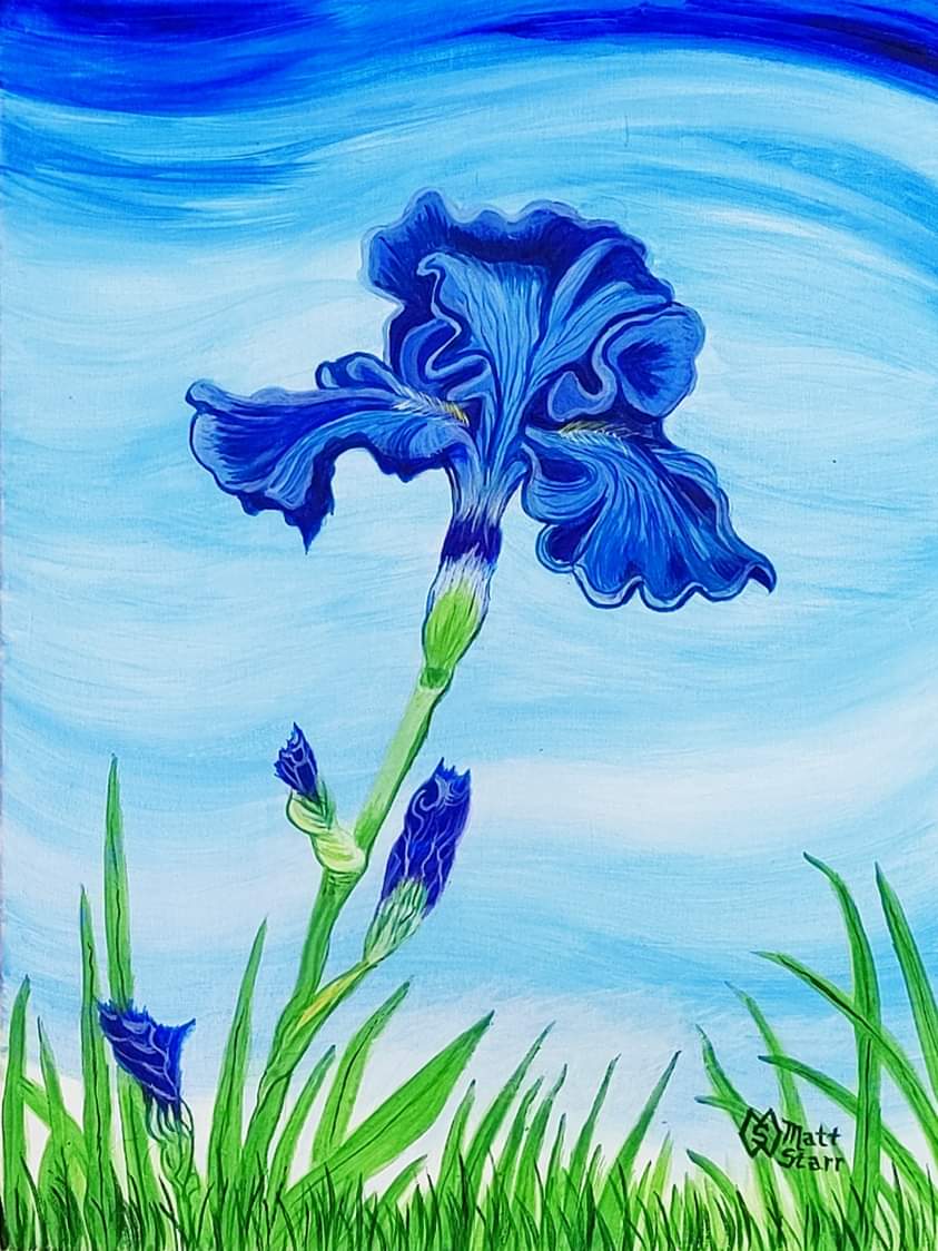 May 8th is National Iris Day. This is my acrylic painting of a beautiful blue bearded iris.   redbubble.com/shop/ap/802303…
#mattstarrfineart #artistic #paintings  #artist #myart #dailyart #artlover #artwork 
#iris #flower #flowers #irisday #plant #blueiris #bluebeardediris