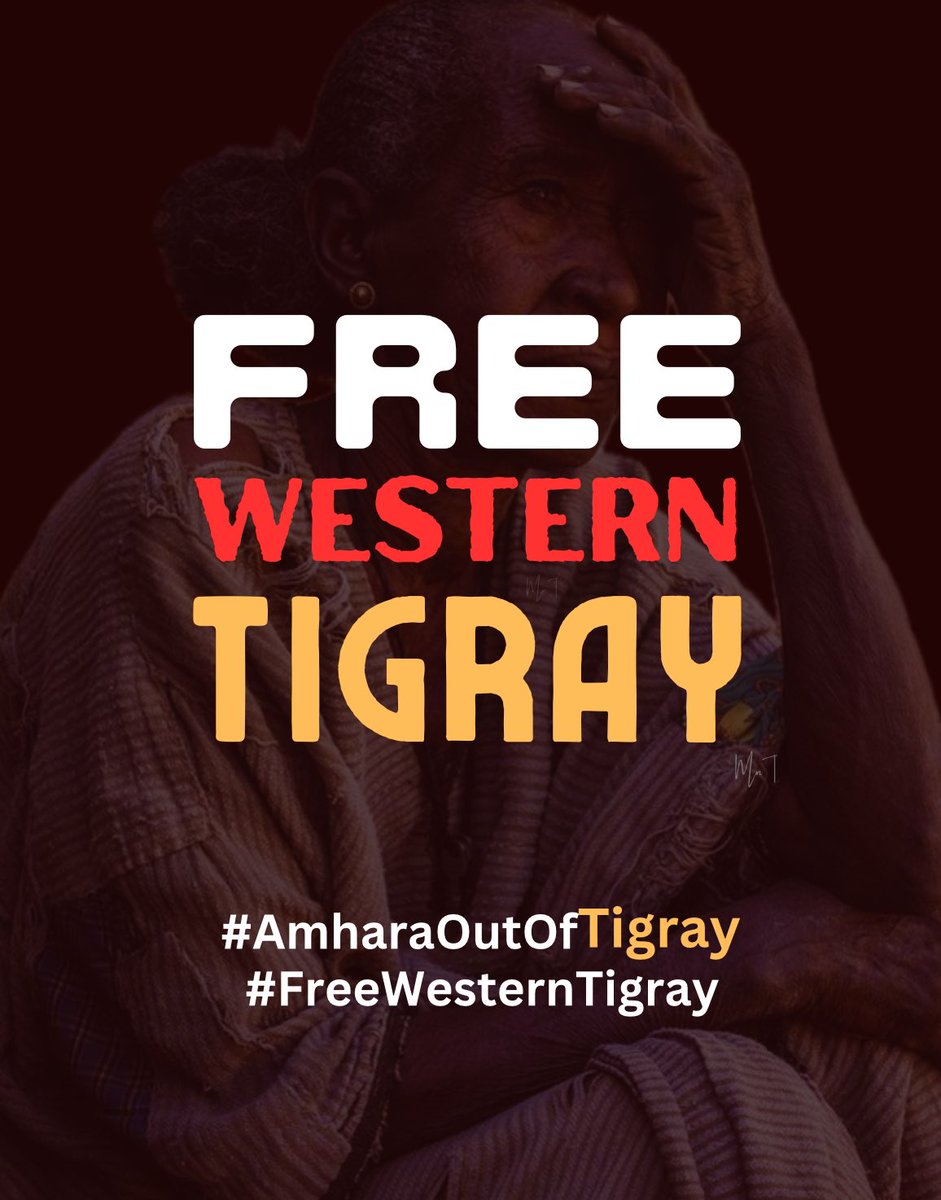 Ethnic cleansing campaign in Western Tigray documented in new probe @OlafScholz @katarinabarley @ch_buchholz @ABaerbock @Marcus_Buehl @rbrinkhaus @GermanyUN @LeniBreymaier @FrankWalterSte4 @feven___21 #FreeWesternTigray #BringBackTigrayRefugees theglobeandmail.com/world/article-…