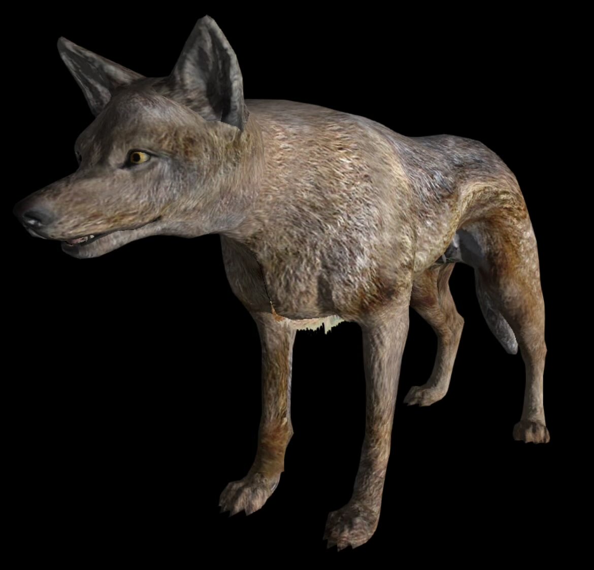 Something so hilarious to me in fallout new vegas, is coyotes
100s of years after exposure to a postapocalyptic wasteland + radiatikn and yotes are still <yote-shaped>, still the exact fucking same XD