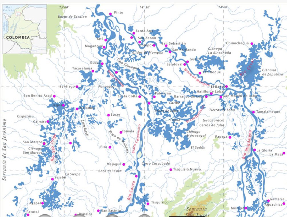 La depresión Momposina es mucho más que la confluencia de los ríos San Jorge, Cauca, Magdalena y Cesar.  Se trata de un gran DELTA INTERNO, donde se descarga mucha agua y sedimentos.  Dejemos de pelear contra el agua. Allí, diques y otras obras civiles NUNCA serán suficientes.