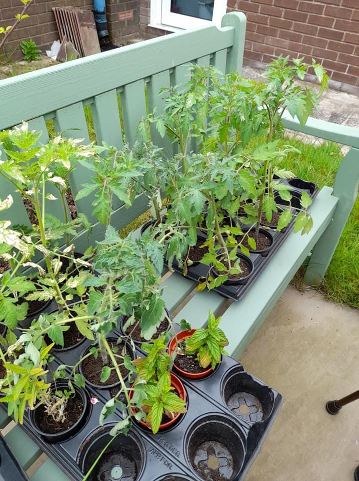 Visited the Forget me not cafe today in Blackpool, such a warm and friendly atmosphere. We sang, played tambourine and watered some plants. Friendship and connection is their priority and I definitely felt that! Watch this space for a new group opening up in Wyre soon!