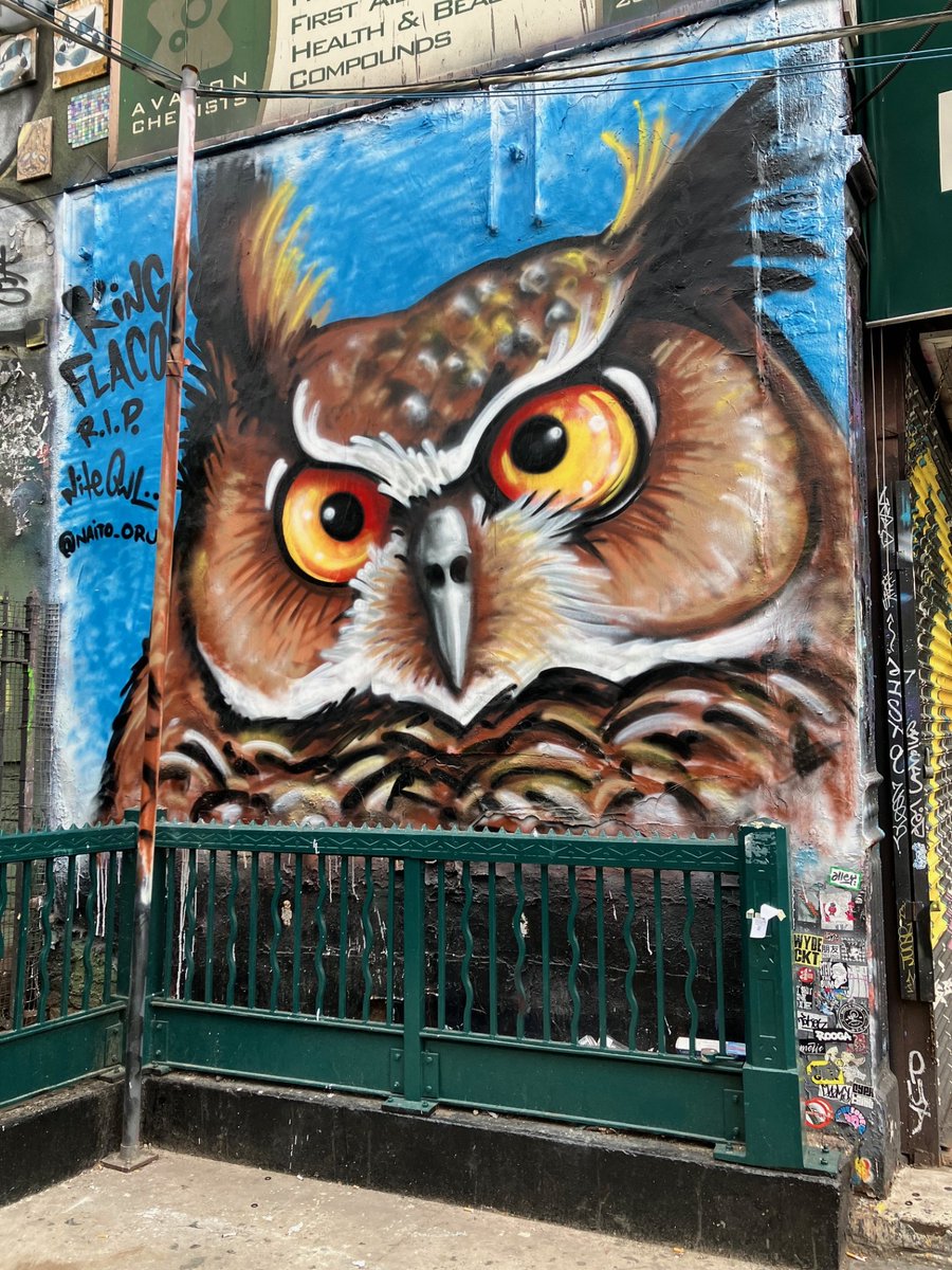 There's a new tribute to Flaco, the Eurasian Eagle-Owl who died in February, outside the 2nd Avenue F stop in the East Village. Mural by @NaitoOru #Flaco