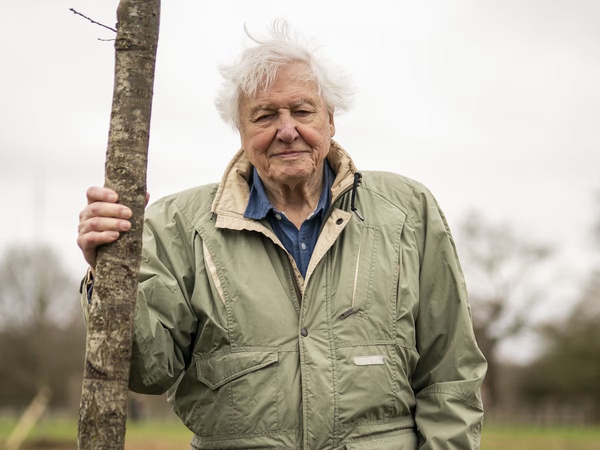Happy 98th birthday to the legendary David Attenborough.