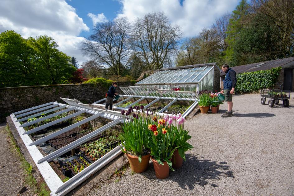 Visit Cumbria's gardens for spring blooms and eco travel dlvr.it/T6bLFK