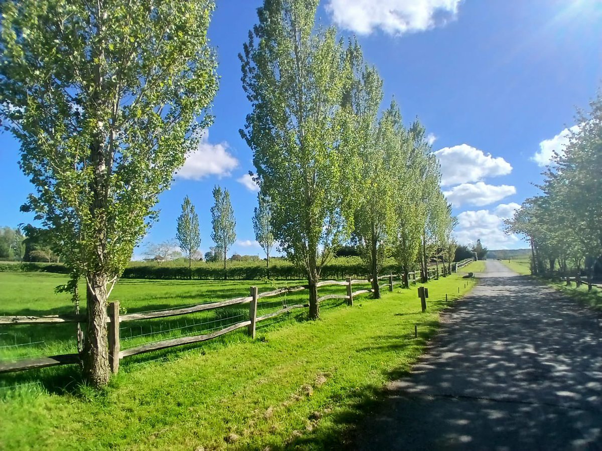 Flower Farm 🚜 tweet media