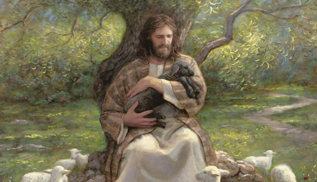 FilioqueX's tweet image. Ist es möglich, sein Seelenheil zu verlieren, oder ist jemand, der zum Glauben an Jesus kam, für alle Zeit gerettet?
#OSAS