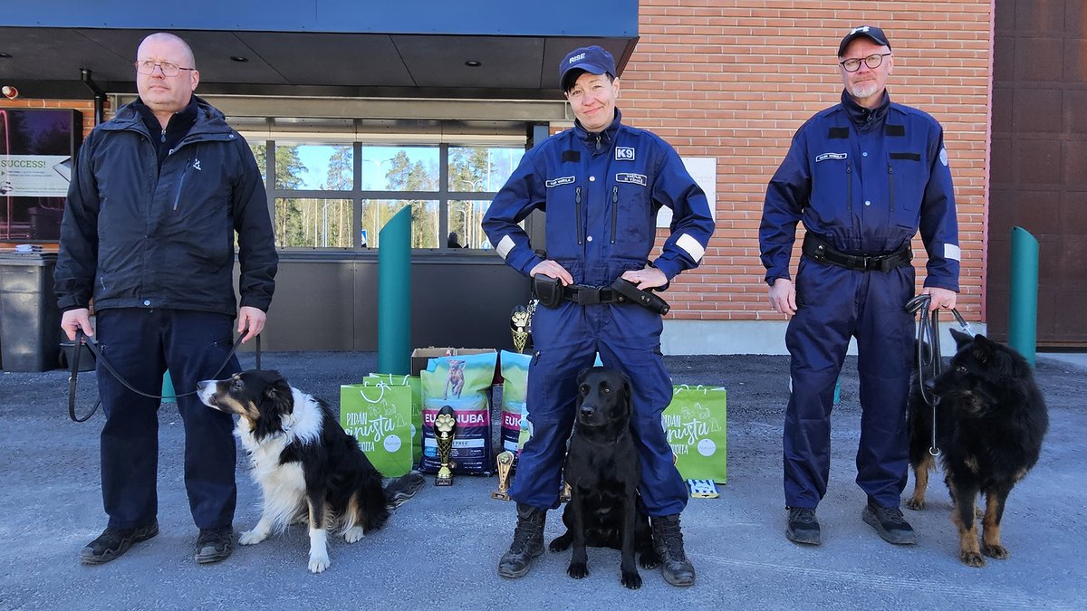 Labradorinnoutaja Kira Turun vankilasta on vankilakoirien Suomen mestari 2024 – oikeusministeri @leena_meri tutustui Jokelan vankilassa Rikosseuraamuslaitoksen koiratoimintaan. ➡️rikosseuraamus.fi/fi/index/ajank…