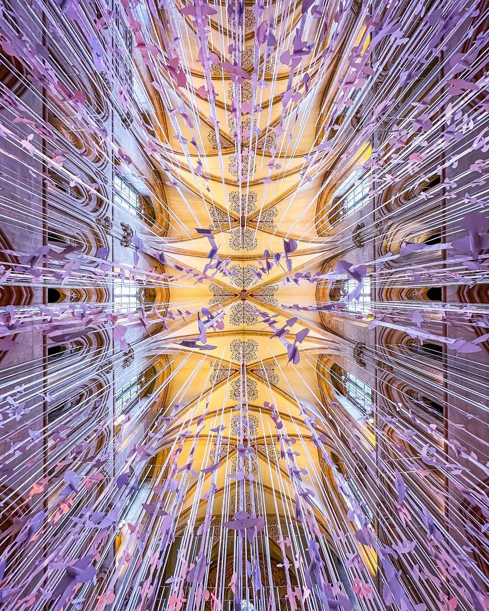 📸 Picture Perfect Peace Doves 📸 We absolutely love viewing visitor photos of the cathedral. This stunning photo encapsulates the Peace Dove display perfectly! facebook.com/WellsCathedral… #wellscathedral #visitwells #englishcathedrals #peacedoves #peace #hope #love #exhibition