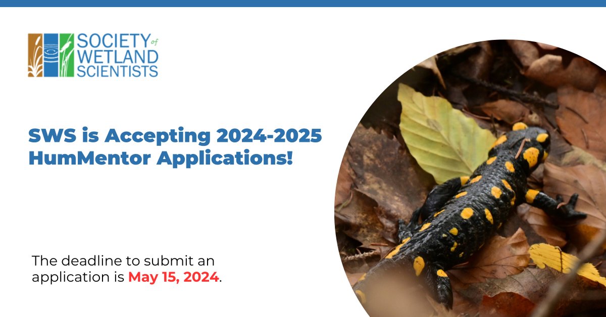 Don't miss your chance to join the transformative 2024-2025 HumMentor Program, presented by SWS International Chapter & Education Section! Applications are OPEN, but the deadline is approaching fast - May 15th! Apply now: sws.org/hummentor/
