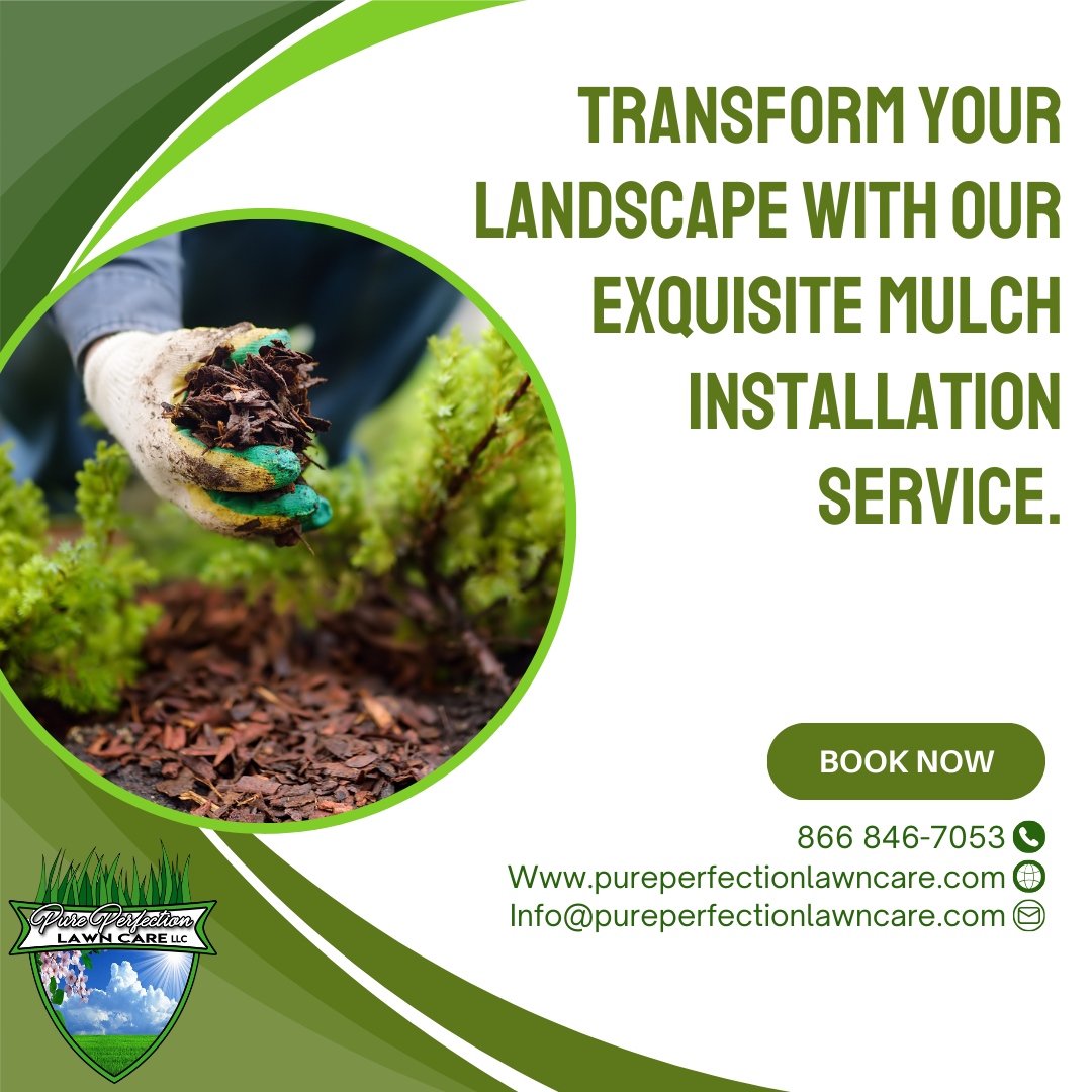 Contact us to schedule your installation! 🌳 Let's add a touch of beauty and protection to your outdoor space!

🌐 pureperfectionlawncare.com
📞 866 846-7053
📧 Info@pureperfectionlawncare.com

#PurePerfectionLawnCare #lawngoals #outdoorliving #gardens