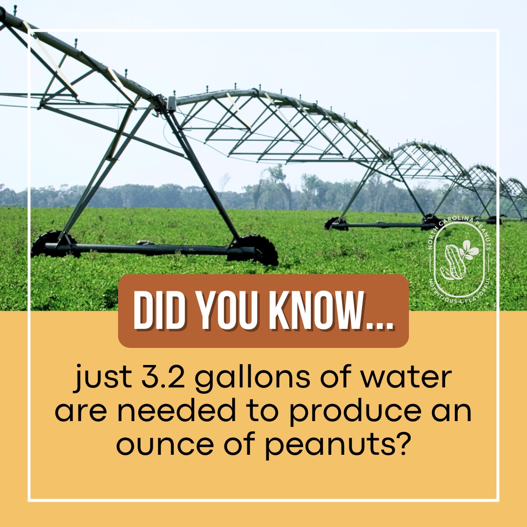 Peanuts' water footprint is significantly less than that of major tree nuts; producing one ounce of shelled peanuts uses 3.2 gallons of water while producing that same shelled ounce of other nuts can range from 20 to nearly 30 gallons. 💧

#NCpeanuts
