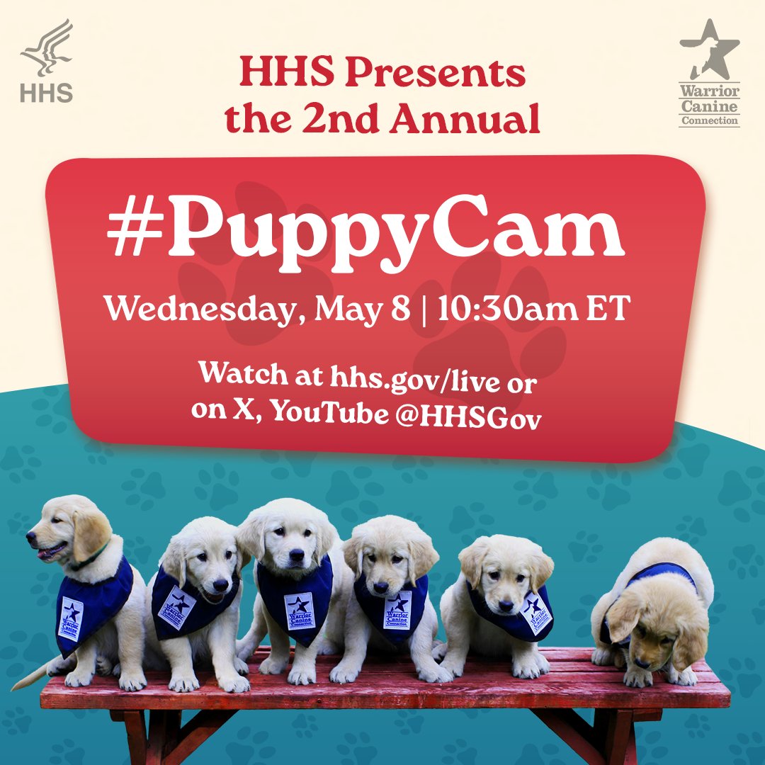 Spend the day with @HHSgov & @WarriorCanineCn today starting at 10:30 am ET! 🐶 🐾 🐩 🐾 🐕 They're streaming the cutest, pAW-inducing puppies (get it??) 🐾 all the while sharing info on how these dogs help people heal & reduce stress in their lives. #PuppyCam