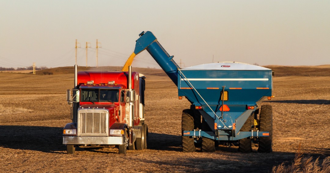 A trailer and truck tarp system you can trust, the #EZLOC #RollTarp is a great solution for most grain farmers. #AGRICOVERSolutions #AGRICOVERRollTarps #agriculture #agriculturelife #agriculturemachinery #harvesttime