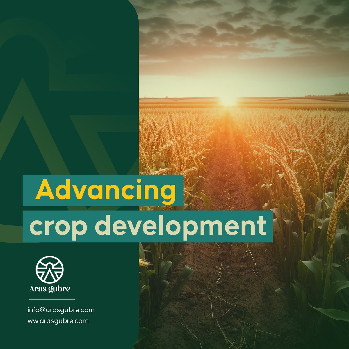 Aras Gubre: Advancing crop development
#aras_gubre #agriculture #farming #fertilizer #npk #npkfertilizer #turkiye #turkey #madeinturkey