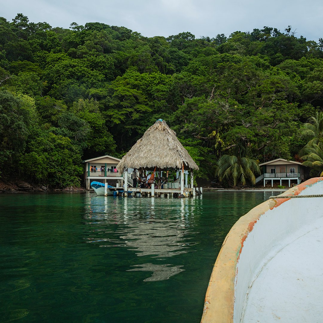 Nos passagers plongent au cœur de Placencia, au Honduras. Ce village de pêcheurs vibre au rythme de son héritage afro-caribéen. Lors de leur escale, ils découvrent le charme de ces habitations et font leur rencontre. 📸© PONANT - Julien Fabro #PONANT #Exploration