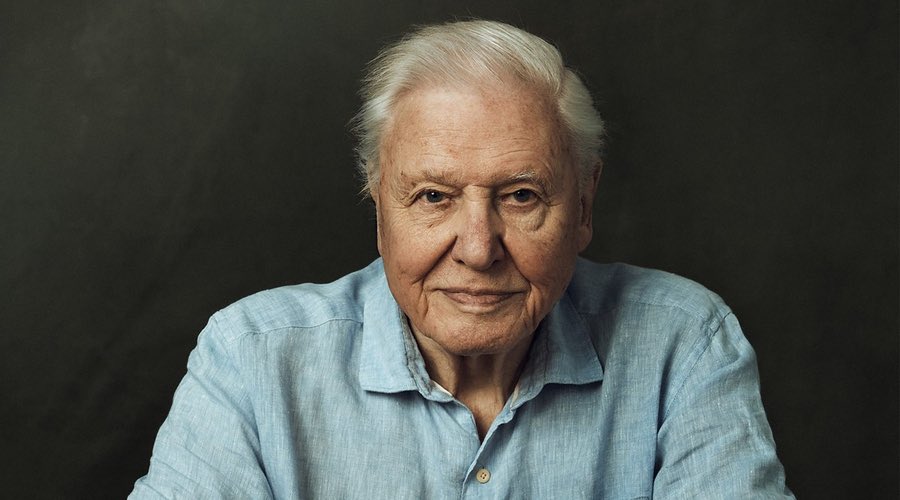 Wishing the absolute LEGEND that is #DavidAttenborough a wonderful 98th Birthday!

He is a legend in his own right. A truly wonderful man who devotes so much to our wonderful natural world.

#HappyBirthday 
#DavidAttenborough