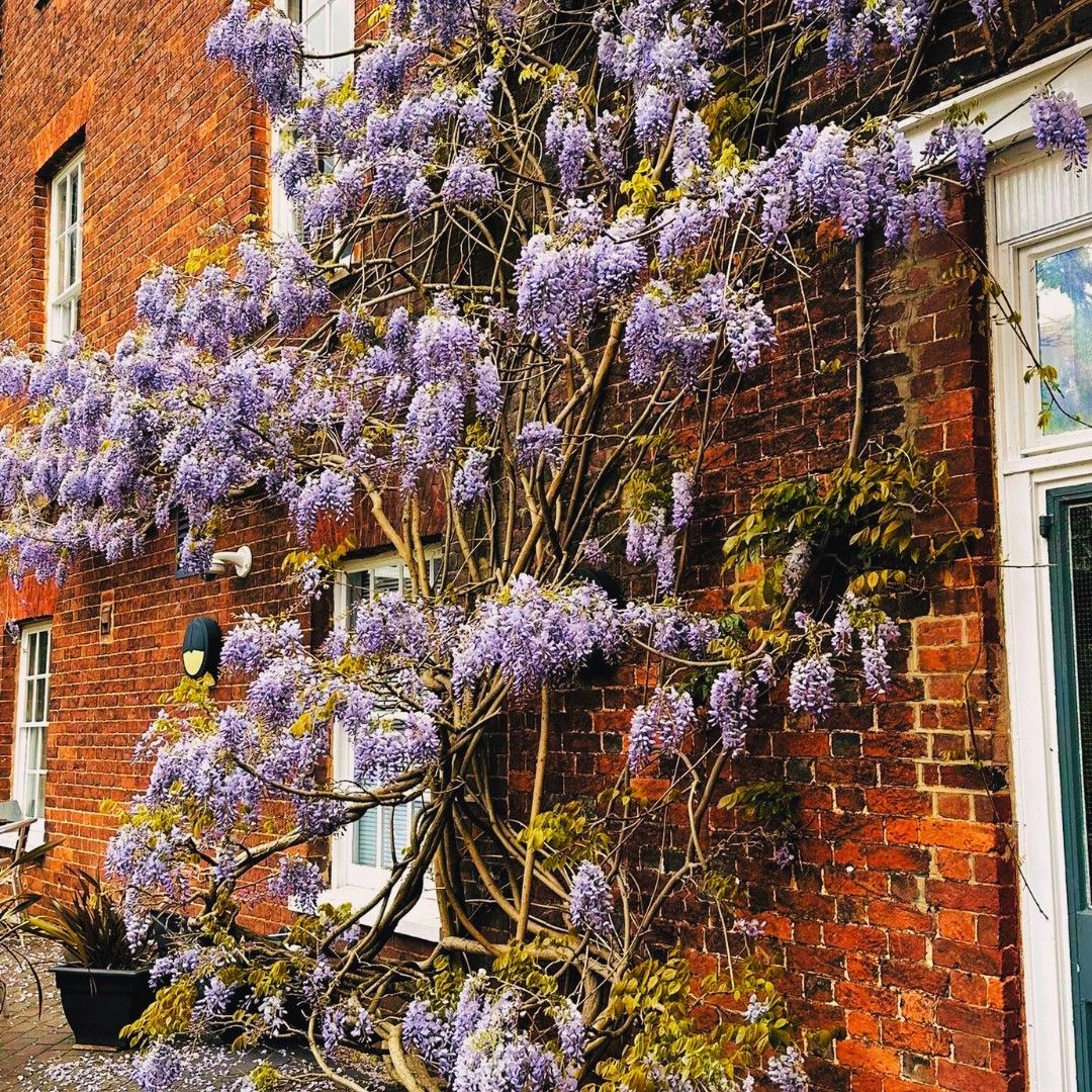 Exeter Community Ctr tweet media