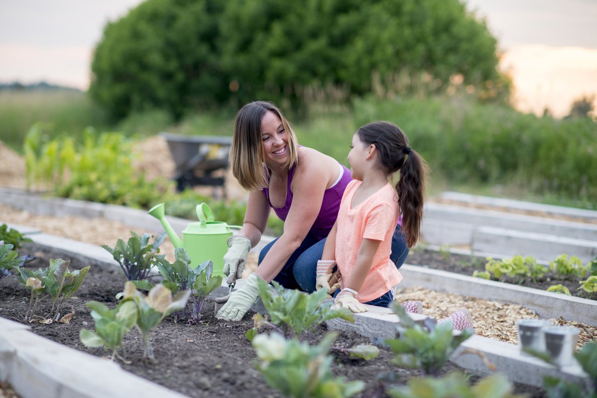 Nous pouvons tous jouer un rôle pour aider nos collectivités à s’#adapter aux #ChangementsClimatiques.

Les jardins communautaires nous rassemblent et absorbent l’eau en cas de fortes #pluies.🐌🌱

Découvrez d’autres les #SolutionsFondéesSurLaNature : 
ow.ly/qNzm50RtE0s