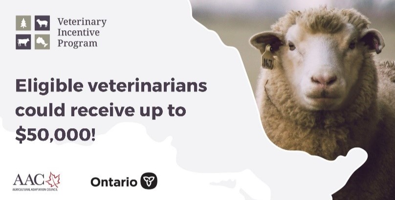 Calling all DVM students and recent grads! @OntVetCollege @OnVetMedAssoc Are you serving clients in Northern or underserviced regions of Ontario through your food animal practice? You might qualify for a $50k incentive payment over 5 years Apply now: ow.ly/M18650Rv5bQ.