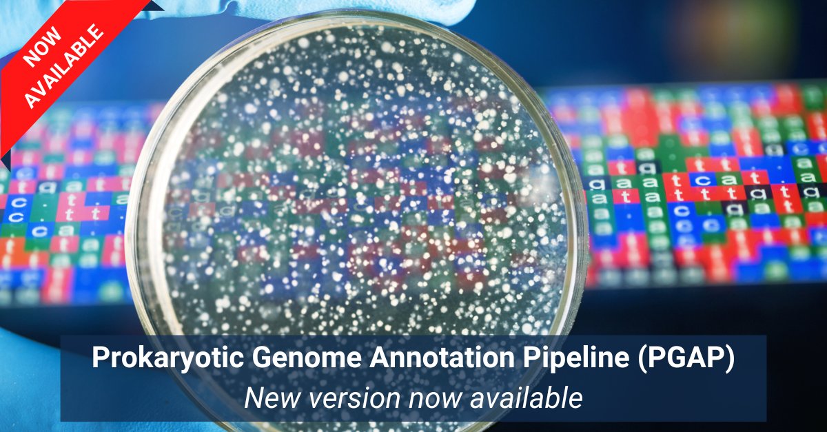 Just released! The new version of the stand-alone Prokaryotic Genome Annotation Pipeline (PGAP) includes updated software and support, revised ANI results, and improved protein family model data used for annotation. Learn more: ow.ly/91pf50RyNUf