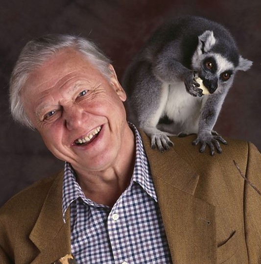 Happy Birthday to Sir David Attenborough!   8th May 1926.