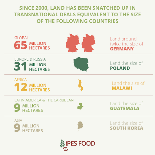 🚨New @ipesfood report shows the world's farmland is owned by a few—the 1% largest farms control 70% of land. Small & medium-scale farmers are being squeezed out. ipes-food.org/report/land-sq…