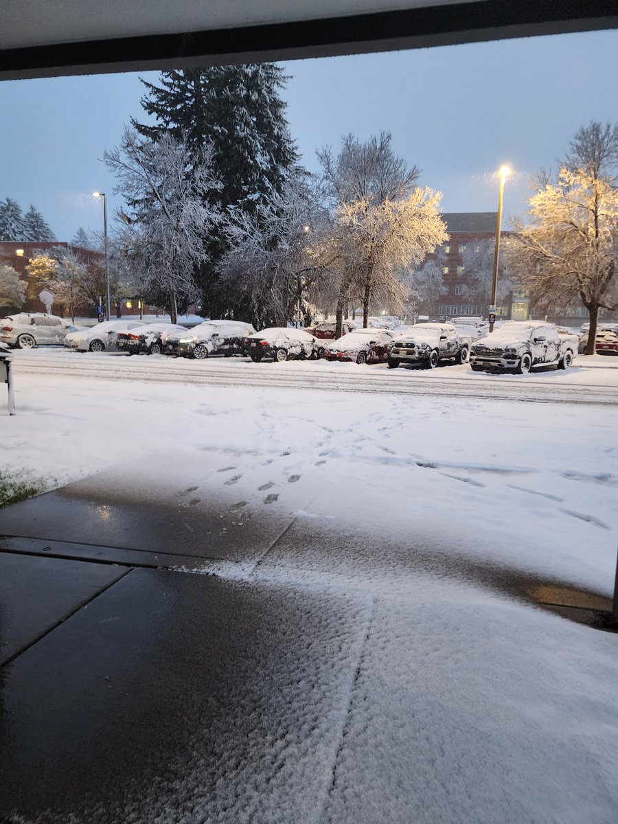 Toni Halbritter shared a photo of snow this morning on the campus of MSU in Bozeman. nbcmontana.com/chimein #NBCMontana
