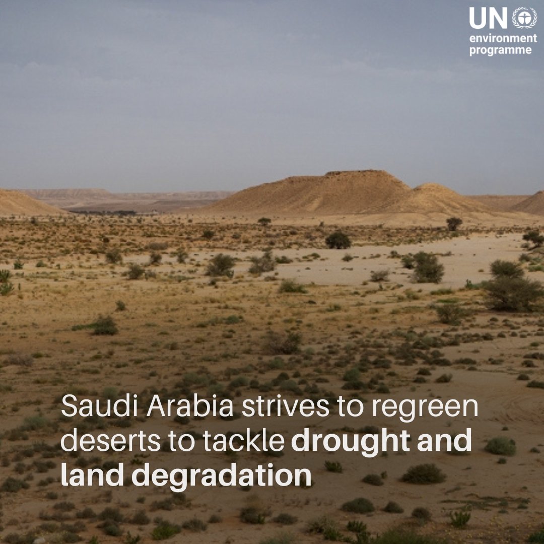 Saudi Arabia is leading efforts to plant an additional 40 billion trees across the region to reduce soil erosion, protect biodiversity, & mitigate climate change.

Ahead of #WorldEnvironmentDay, check out their #GenerationRestoration initiative here: unep.org/news-and-stori…