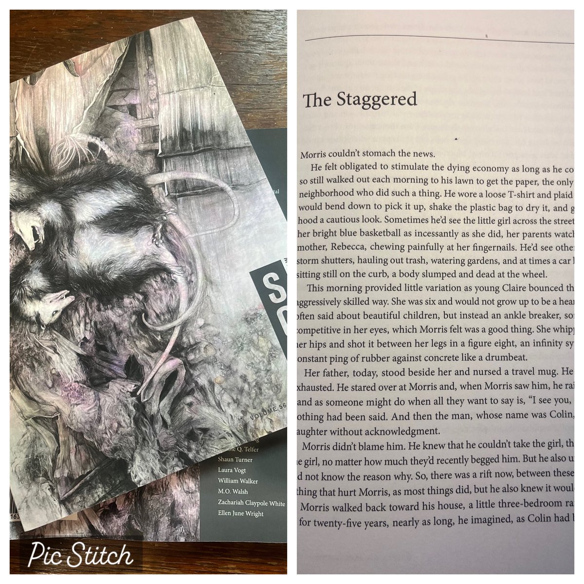 Pumped to have a new story out in the South Carolina Review! Story based on a recurring nightmare I had during height of Covid. Thanks to Editor Keith Lee Morris for seeing something in it.