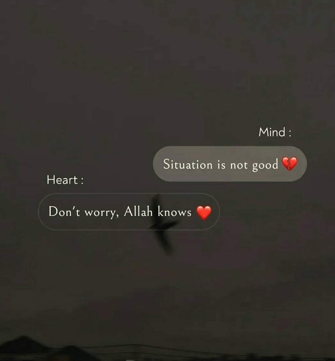 Alisha Sarfraz tweet media
