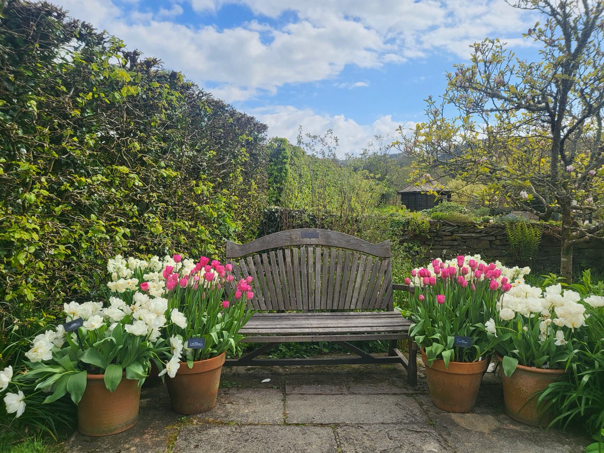 👇 All that is missing is you! Visit our gardens for a mood boosting walk and be energised by the spring colour, not to mention the fresh air, birdsong and our delicious cakes... #SpringDaysOut #NorthDevon #VisitNorthDevon #DevonsTopAttractions @ExmoorMagazine