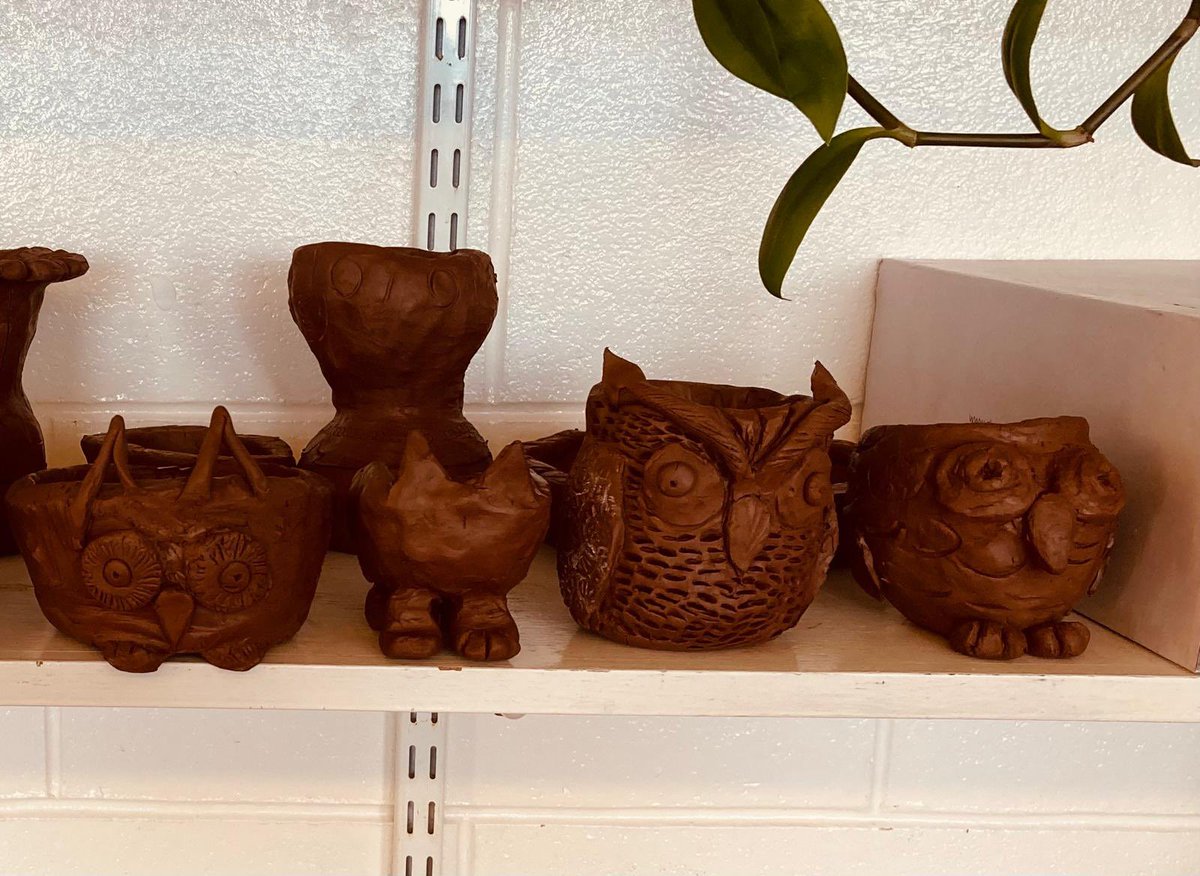 A very creative 1st Activities Day. You are never quite sure what the results will look like but we were impressed today. We have lots of great plant pots and an unexpected Parliament of Owls! 🦉 🪴 #activitiesdays #creativity #dyce #dyceacademy <a href="/DyceAcademy/">Dyce Academy</a>