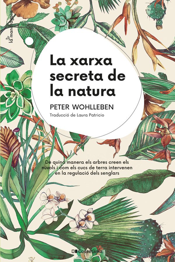 I el @MariusDomingo2 ens portava “La xarxa secreta de la natura” de Peter Wohlleben (@Cossetania ), un llibre per entendre com els diferents elements d’un ecosistema arriben a estar connectats entre ells: lafinestralectora.cat/la-xarxa-secre…