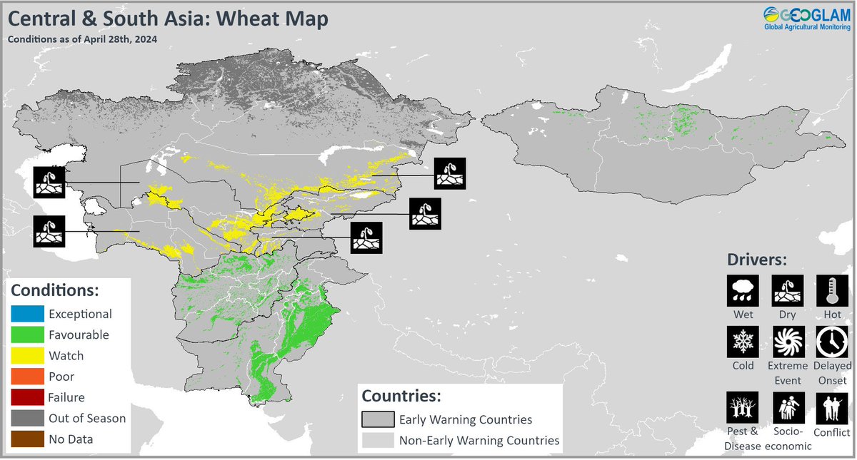 Favorable condition for wheat cultivation is reported for #Afghanistan as a result of recent above-average rainfalls. Wheat cultivation may still be below average for a good water year due to below average winter plantations (due to dry conditions) & recent floods.@GEOCropMonitor