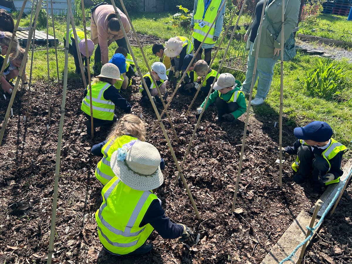 BPSHull's tweet photo. RAB had a wonderful time at National Avenue allotments. We engaged in lots of fun activities and were able to take a plant home from the produce cart. π» πͺ΄βοΈ #BPSEYFS #BPSScience #BPSGeography https://t.co/qnQ3RmGx02