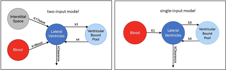 🧠 Read 'Brain Fluid Clearance After TBI Measured Using Dynamic PET,' new work from T. Butler, @nkarakatsanis, X. Wang, K. Xi, K. Chen, @LiangdongZhouNY, E. Fung, A. Patchell, Y. Li, @GloriaChiangMD, L. Glodzik, M. de Leon, & S. Shah in @J_Neurotrauma. 👉 tinyurl.com/5es638s5