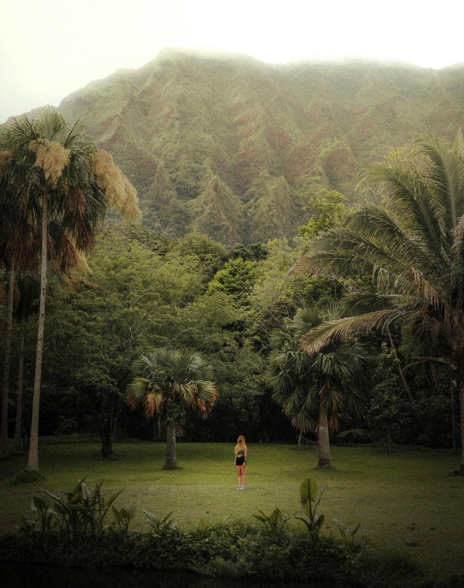 I Love Hawaii tweet media