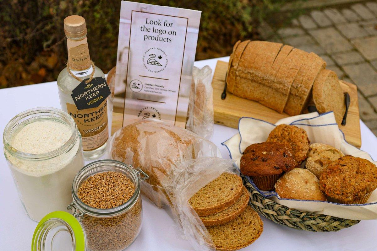The @HabitatWheat ecolabel helps identify food and drink items made using western Canadian winter wheat. When purchasing these products, Canadians positively impact the environment by supporting wildlife habitats. Learn more: ow.ly/hFvm50RpHC5 #westcdnag