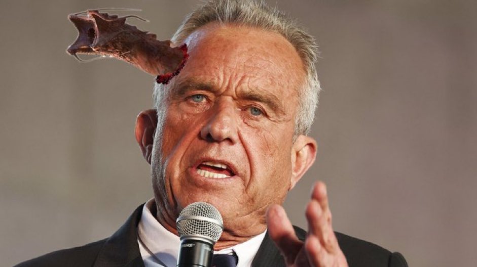 sadgirlcassi's tweet image. 🪱