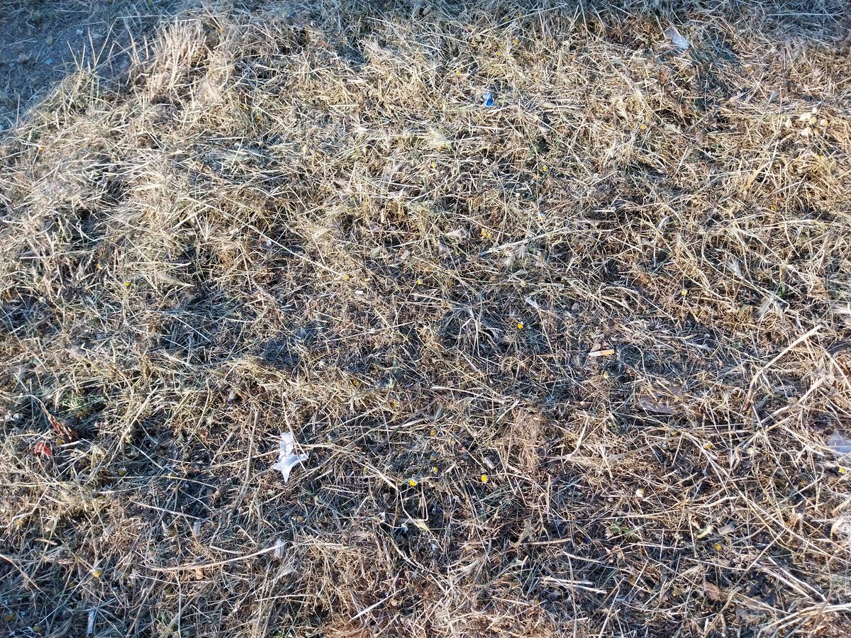 <a href="/AVArroyoCulebro/">AAVV Arroyo Culebro</a> <a href="/Legaflora/">Legaflora</a> <a href="/Leganes_MAmb/">Medio Ambiente y Sostenibilidad de Leganés</a> <a href="/AytoLeganes/">Ayuntamiento de Leganés</a> <a href="/FRAVM/">Federación Vecinal de Madrid</a> <a href="/flav_leganes/">FLAV Leganés</a> <a href="/AVV_Vereda/">A.VV. Miguel Hernández</a> <a href="/AVBarrioCentro/">AV Barrio Centro</a> <a href="/apvlafortuna/">AAVV apv La fortuna</a> <a href="/AVVLNORTE/">Asociación Vecinal Leganés Norte</a> Por el parque de al lado de Metro San Nicasio han pasado hoy.